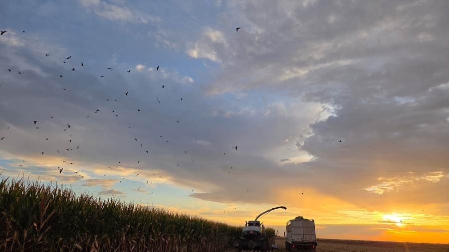 Sunset on the Finch ranch